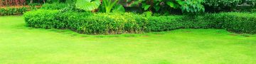 Top Ten Factor to test On Your Tour to India