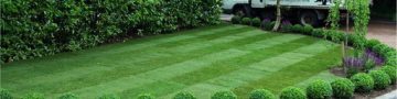 Why Artificial Grass Lawns Are "Eco-friendly"