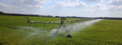 Are Sprinkler Systems Safe or Not?