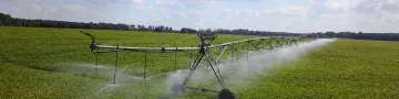 Are Sprinkler Systems Safe or Not?
