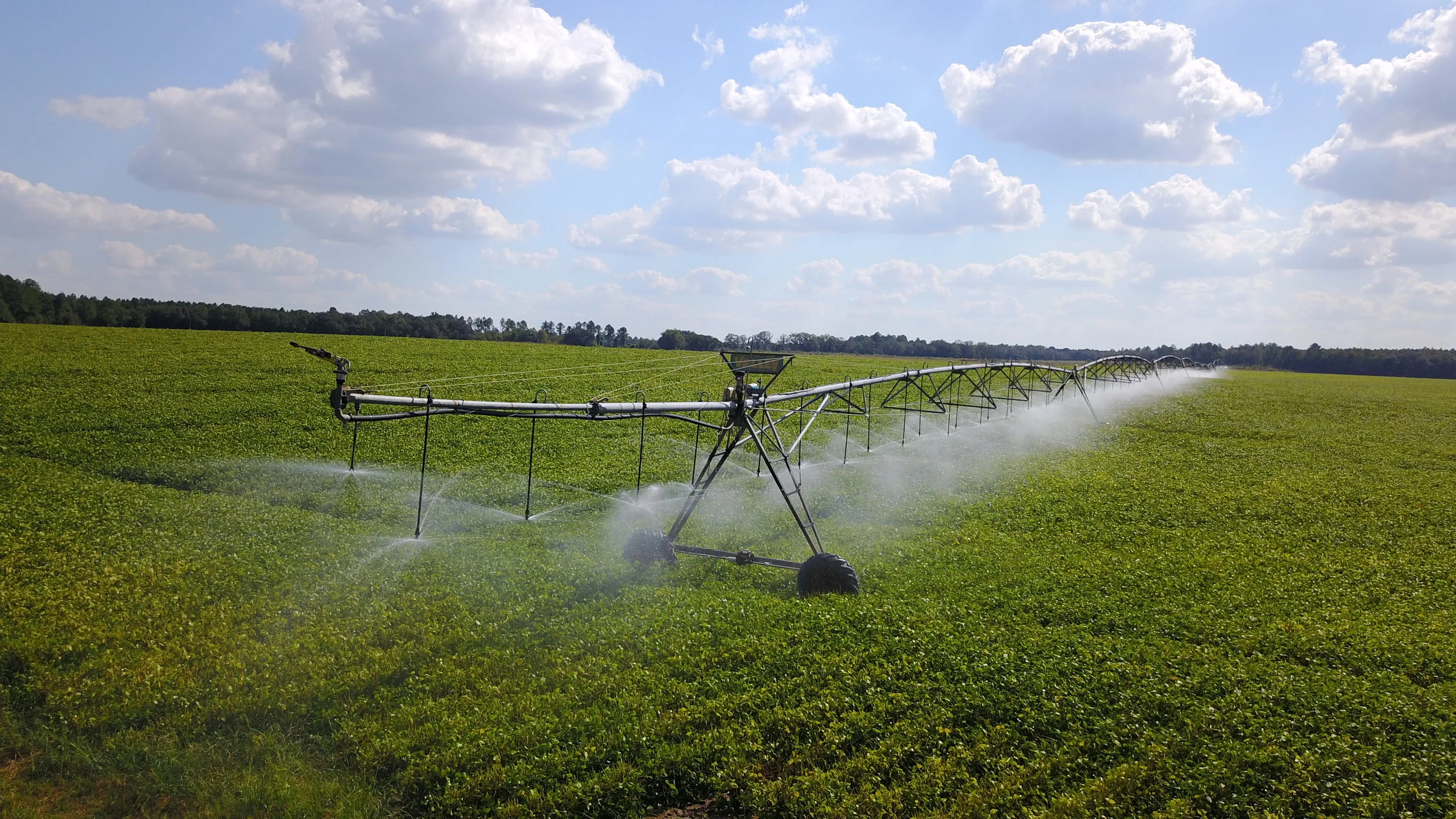 Are Sprinkler Systems Safe or Not?
