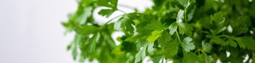 Parsely, green, nature — The Relief Within Reach: Exploring the Benefits of Pain Relief Pills