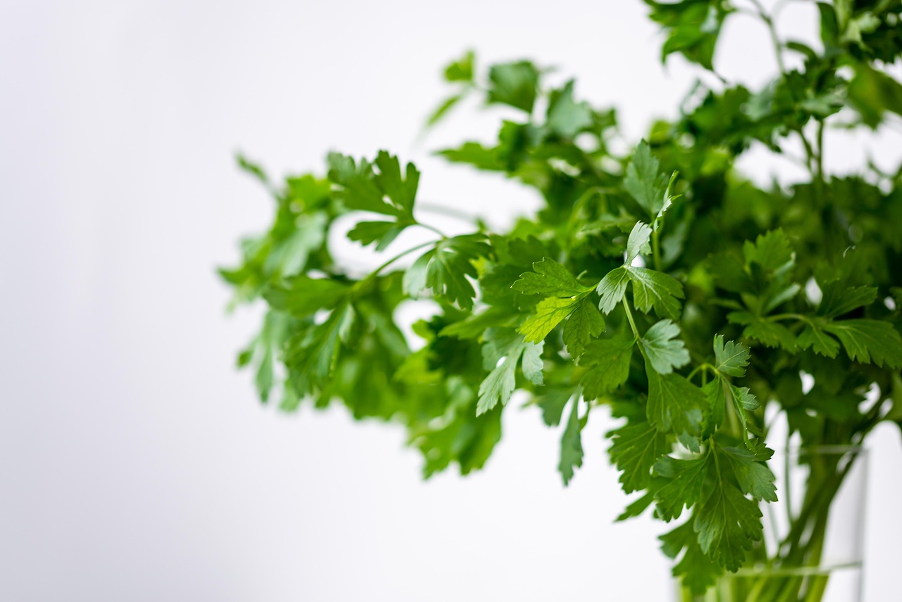 Parsely, green, nature — The Relief Within Reach: Exploring the Benefits of Pain Relief Pills
